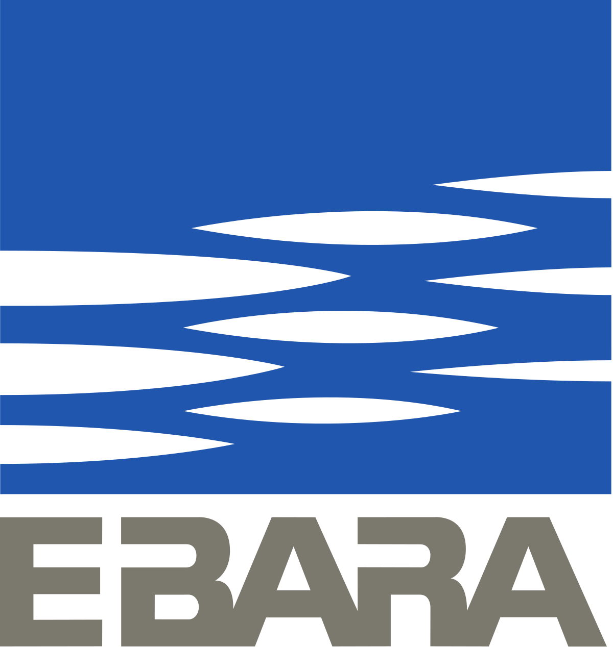 Ebara Pumps