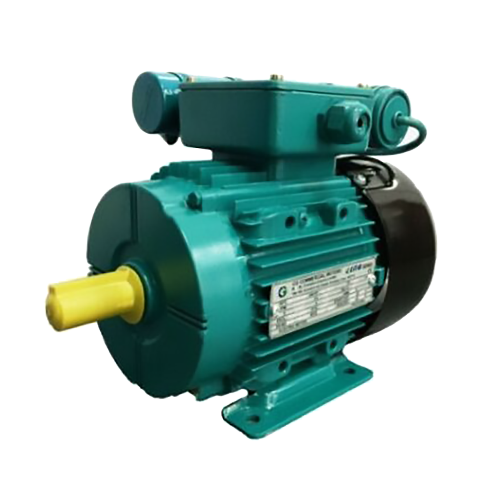 Crompton Greaves Cap Start/Cap Run