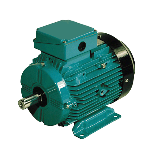 Crompton Greaves Three Phase Electric Motor