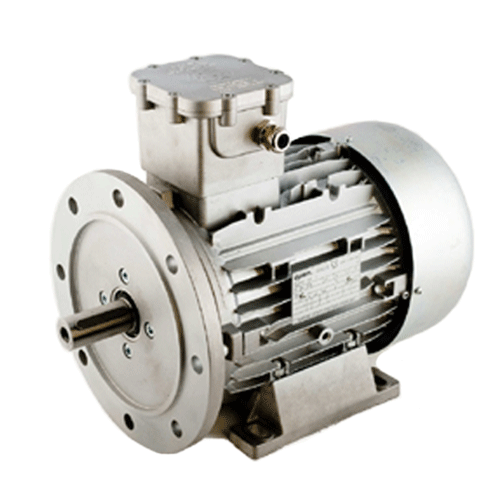 Flameproof Electric Motors