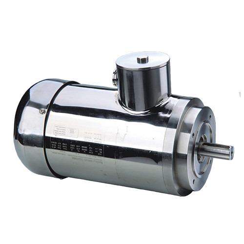Stainless Steel Electric Motor